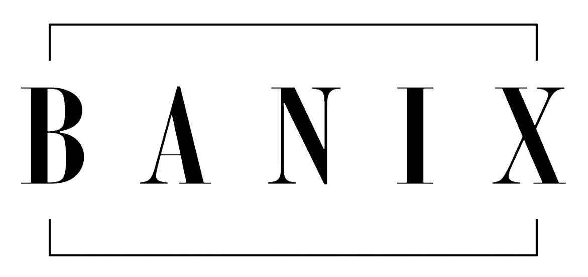 Banix Studio